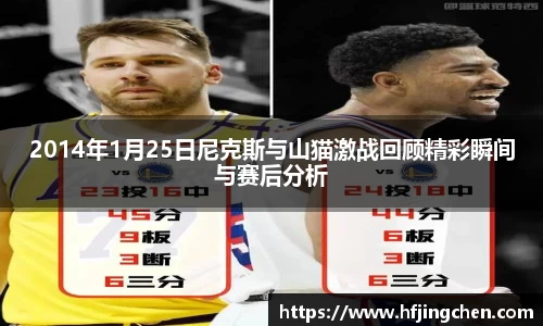 2014年1月25日尼克斯与山猫激战回顾精彩瞬间与赛后分析