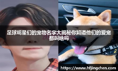 足球明星们的宠物名字大揭秘你知道他们的爱宠都叫啥吗